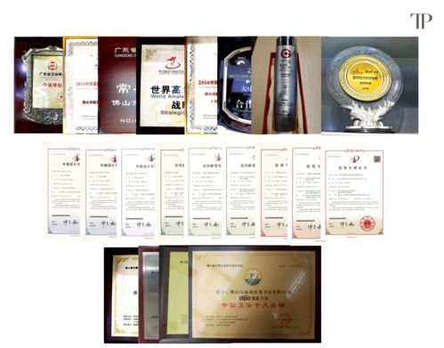 緹派多功能智能衛(wèi)浴工程技術(shù)研究中心榮獲市級(jí)認(rèn)定，引領(lǐng)技術(shù)咨詢新篇章